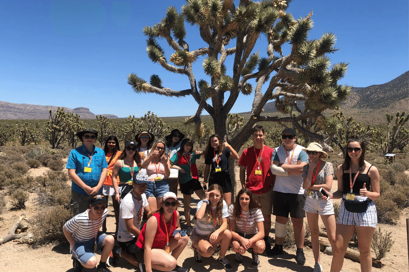 Geography International School Trips